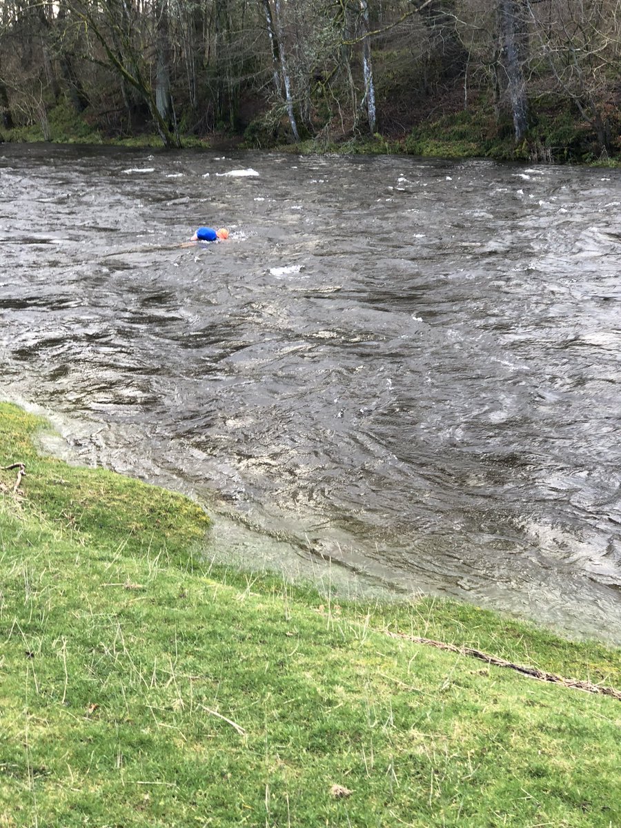 Our wild swimmers on the Teith are a hardy bunch.  1.7 metres on the gauge.🏊‍♀️