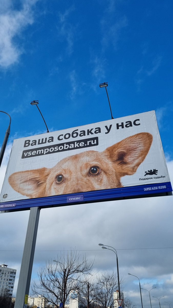 Впечатление, будто они держат мою собаку в заложниках