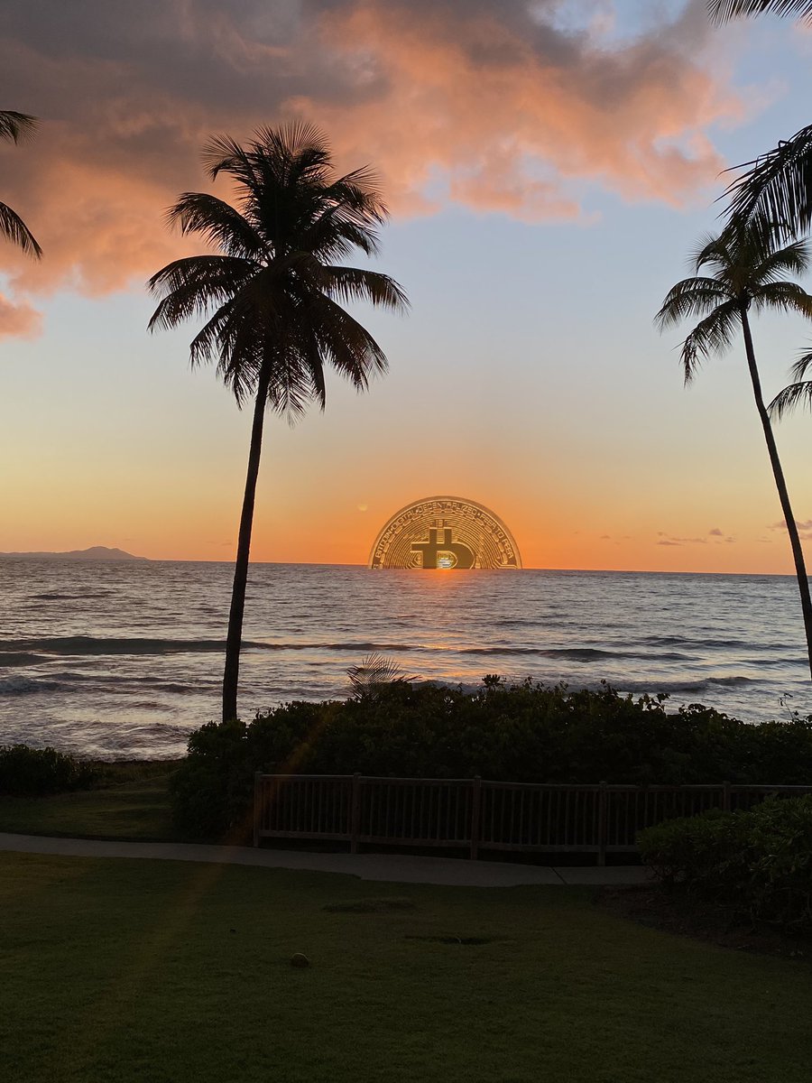 ElTioPR07's tweet photo. @isabellasg3 🤣🤣 it’s true STILL PEOPLE that don’t know about or are scare to know 🤣🤣 Saludos desde Puerto Rico 🇵🇷. #Bitcoin https://t.co/ZltTTy0Zsw
