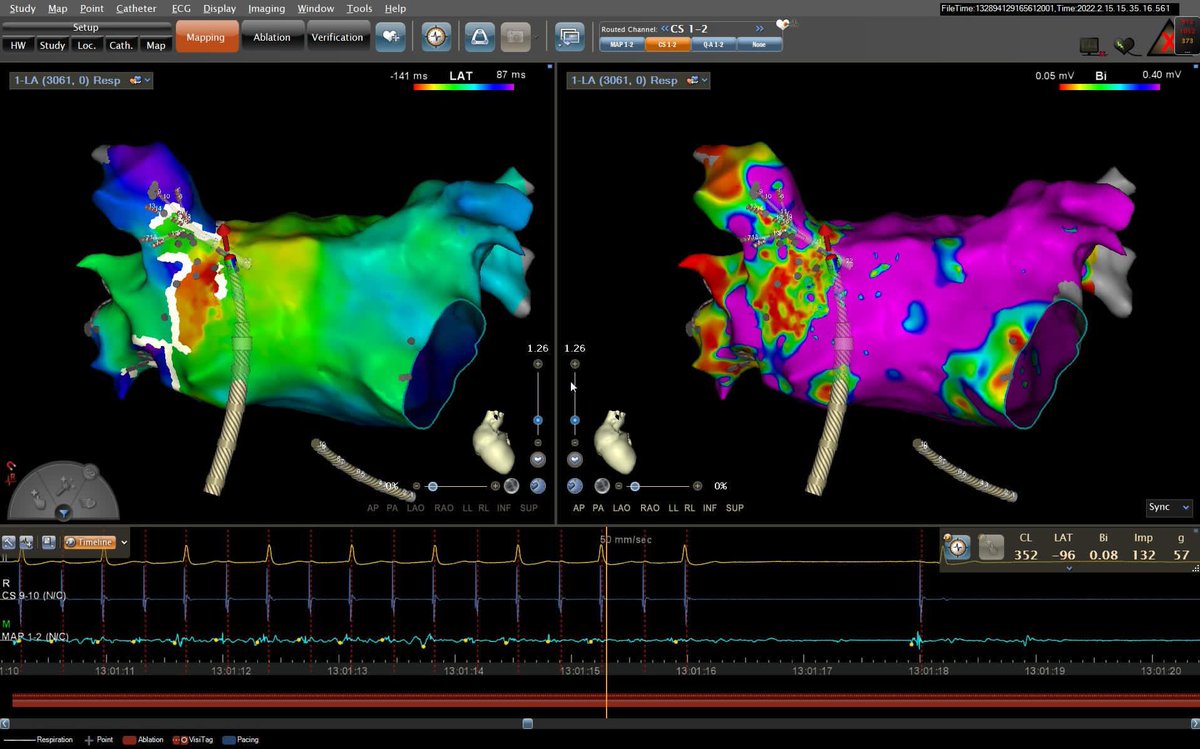 Joe Shipton tweet media