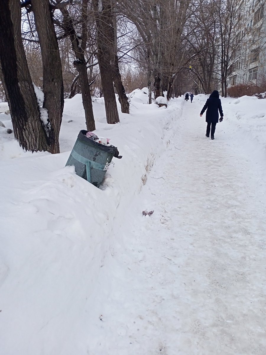 Светлана Лусис tweet media