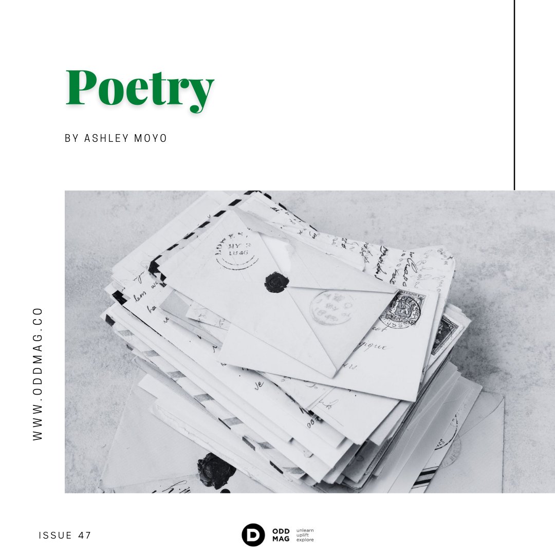 Odd Magazine tweet media