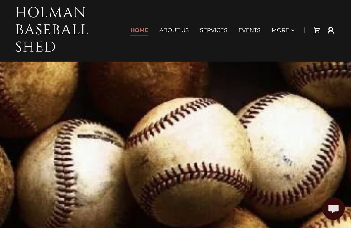 holmanbaseballshed.com