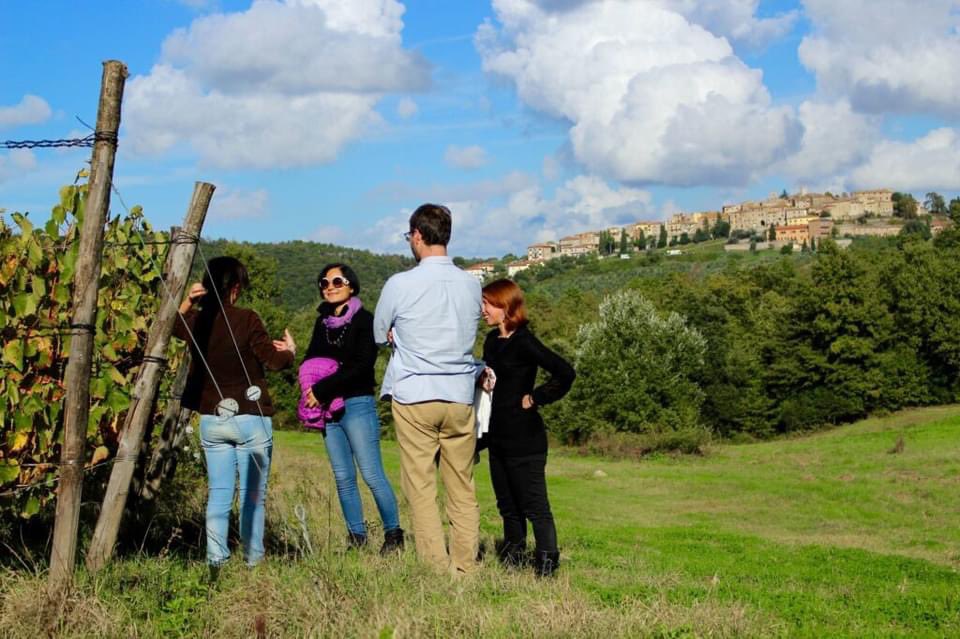 🍷 Il nuovo turismo del vino di Donatella Cinelli Colombini

➡ Donatella Cinelli Colombini ha scelto di dare l’esempio progettando per i visitatori delle sue cantine ben otto esperienze diverse.

Leggi l'articolo completo 👉 bit.ly/3uY63eB