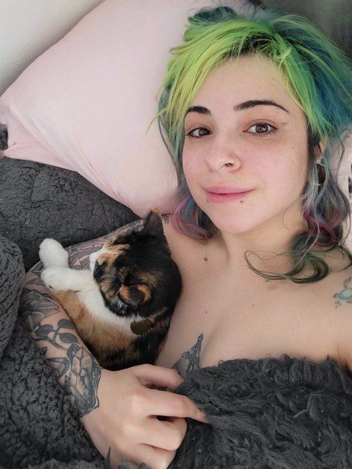 two sleepy lil kittens, deserving of pets 🥰 https://t.co/wHVpiq6XMr