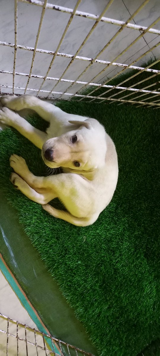 New member to the family