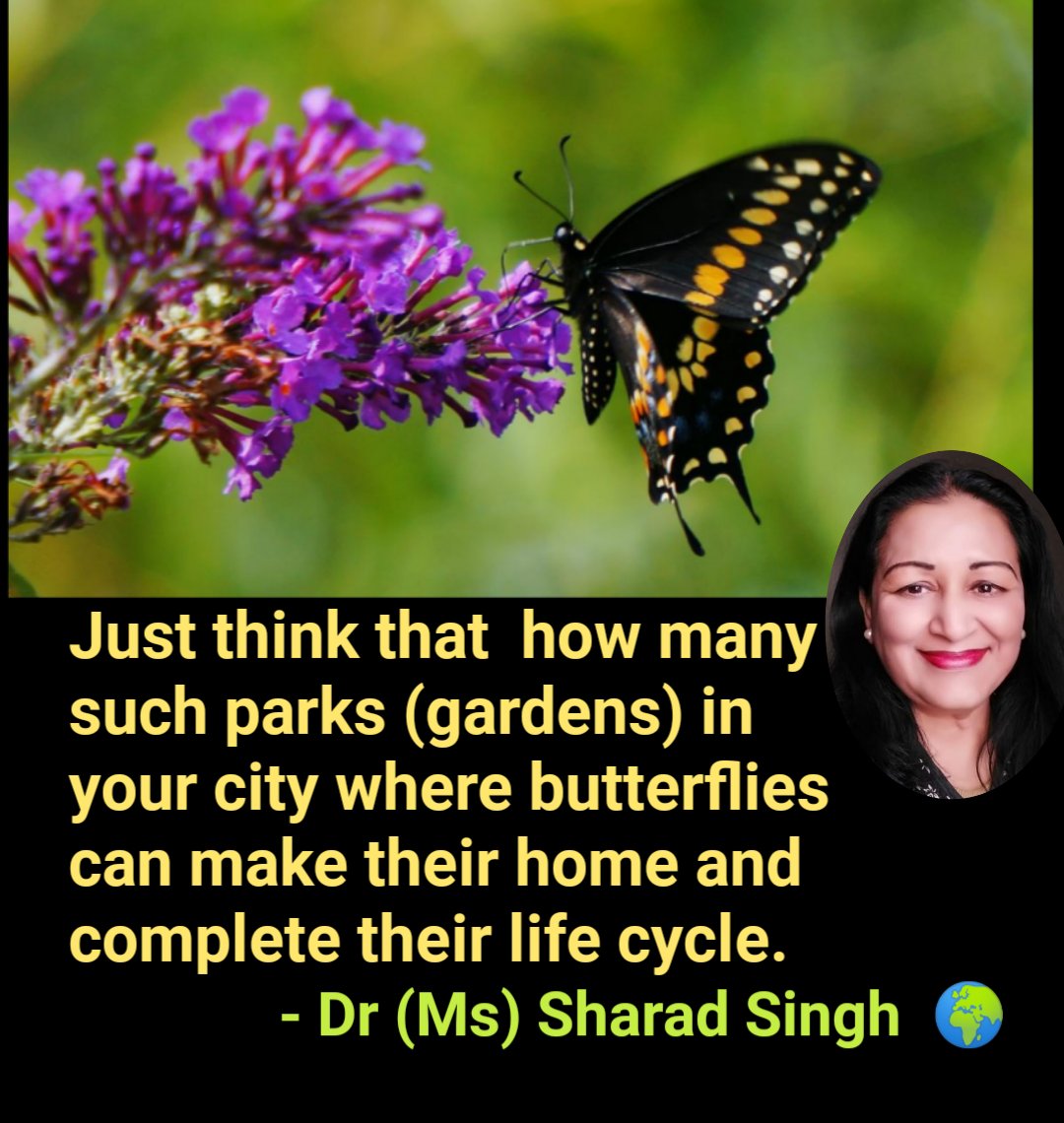 MissSharadSingh's tweet photo. Just think that how many such parks (gardens) in your city where butterflies can make their home and complete their life cycle.- Dr (Ms) Sharad Singh
#ClimateCahnge #SaveClimate
#AwarenessForClimate
#MyClimateDiary
#unclimatechange
#nature #Environment #Park #Garden #Butterflies https://t.co/dOk4xX2z5D