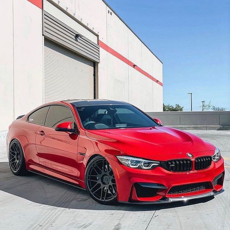 MPower_Daily's tweet photo. BMW M4 F82 🌹✨ https://t.co/XTW7sJvnmj