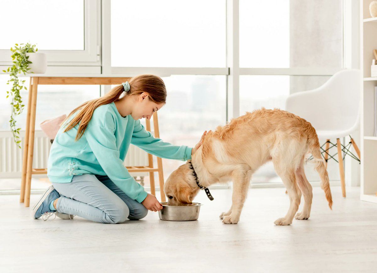 Urine Off Pet Products tweet media
