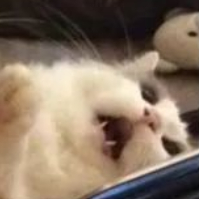 Kito991's tweet photo. My reaction to Frozen 2 separating the sisters #BringElsaHome #Frozen2 https://t.co/McQ2lgekdn