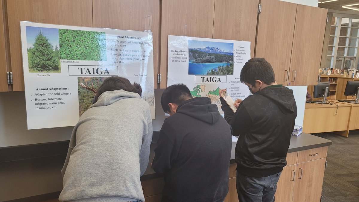 MizLock4's tweet image. Gallery Walk. Gathering information on Biomes @walkerm26 @ThreeLakesTISD @lakes_three #gatorsriseup