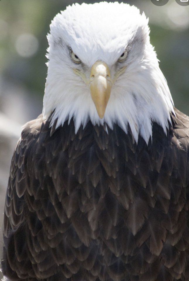 St. John Baseball tweet media