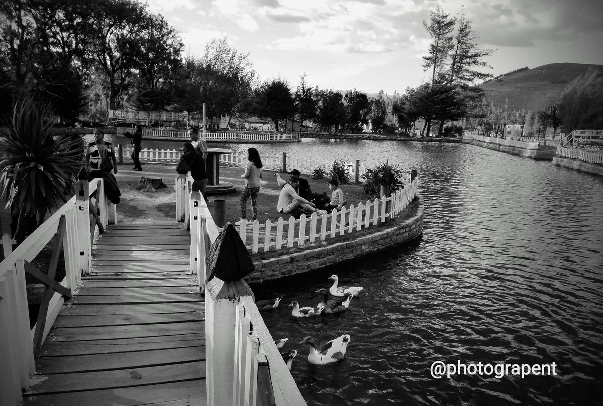 photograpent's tweet photo. La Colpa (8930 ft above sea level)
Cajamarca, Peru
#blackandwhitephotography #blackandwhitephoto #photography #nftphotography #NFTCommunity #nftphotographer https://t.co/bxRWZiKK05