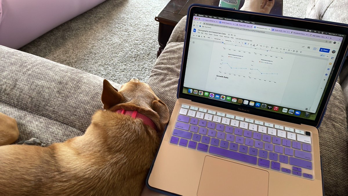 MrsBurkes_Class's tweet image. Mookie is napping on the job… she’s no help with my equity audit!