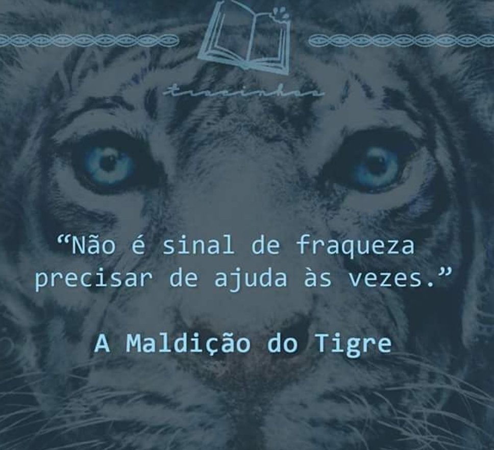 Livro maravilhoso! Saudades dessa leitura. #amaldiçãodotigre #bookstan #booktwt #book