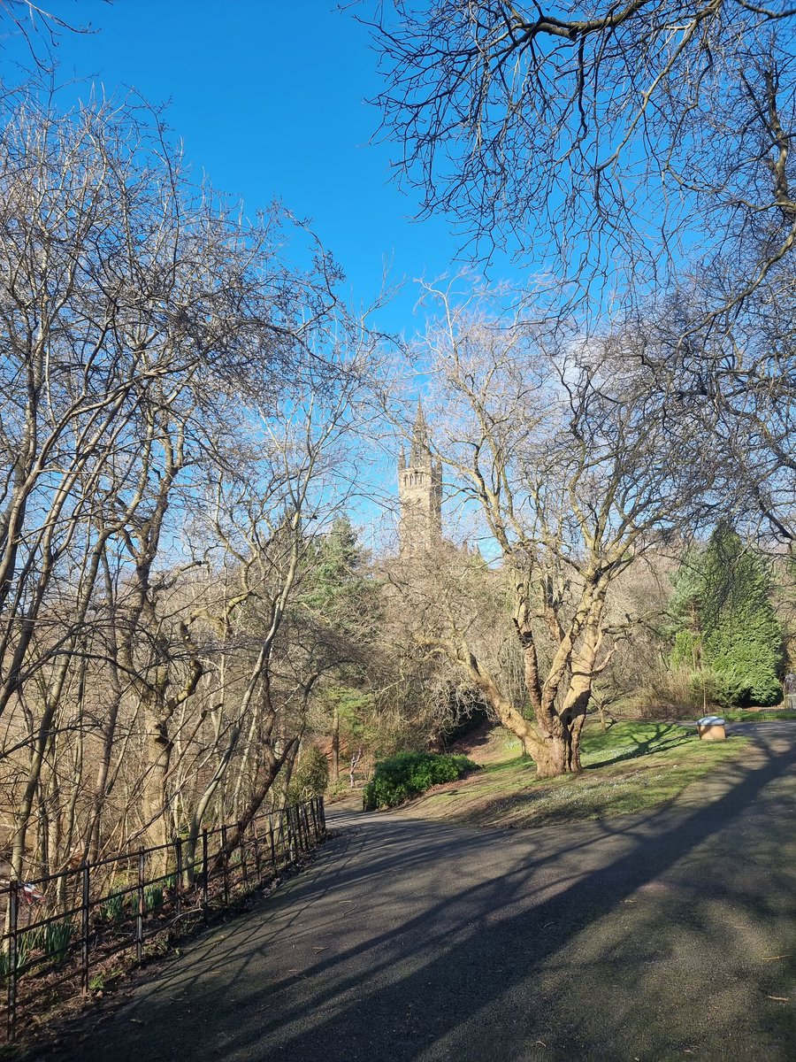 LisaFinlayson5's tweet photo. Nice day for a walk @UofGSoLS @UofGlasgow #HappyMonday https://t.co/5DevmmB0FJ