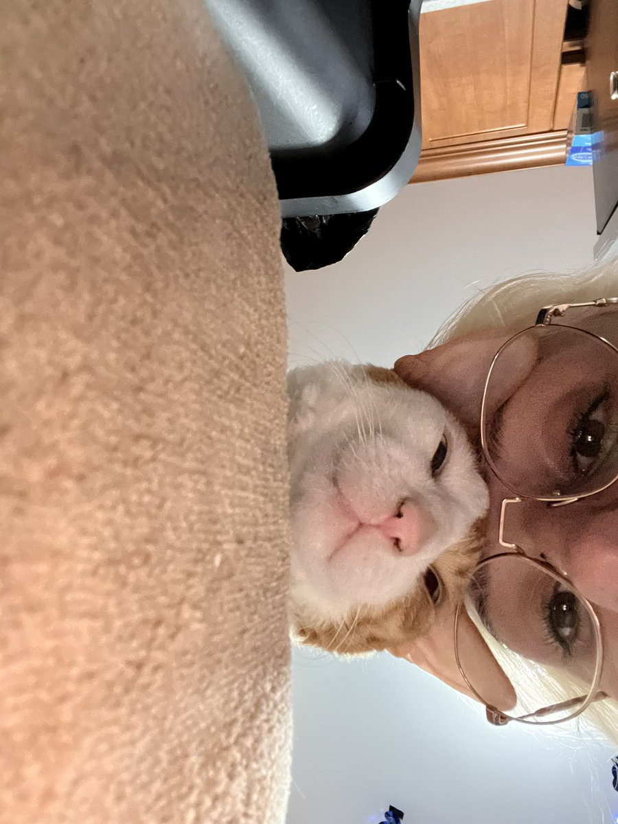 ventiacai's tweet photo. @QuoiGender We actually got him stairs to help him get up and down from the high places he is not allowed to jump onto (counters/bed) but he stills gets mad that bambino is allowed to jump and he is forced to take the stairs so forehead touches are the best distraction https://t.co/9TwNp9uYPT