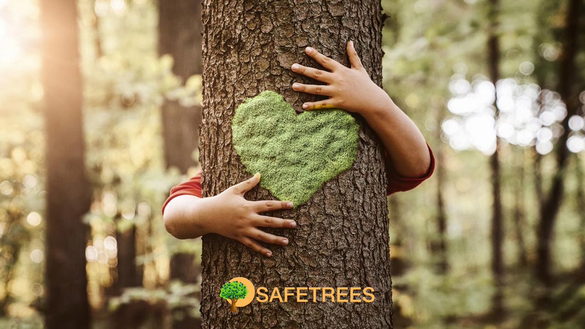 Trees_token's tweet photo. $TREES disruptive blockchain innovation is crucial to our fight against climate crisis ♻️🌍
♻️ RT for #crypto to support #ClimateAction Now!!! Join us: https://t.co/NTAePbCMS7
@gate_io
#trees2gate
@BinanceBCF
#TreesArmy #TreesApp https://t.co/UC0IDFZN2q