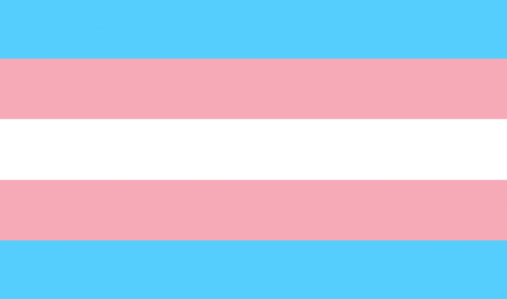Llyfr_Enfys's tweet photo. Happy Trans Day of Visibility! Today I'd like to highlight some lesser known trans terms in Welsh. Rhyweddhylifiol means Genderfluid, Rhyweddgwiar means Genderqueer and a potential word in my book is Hollrhywedd for Pangender. Transness beyond binary gender! #transdayofvisibility https://t.co/i0u9AoRWVT