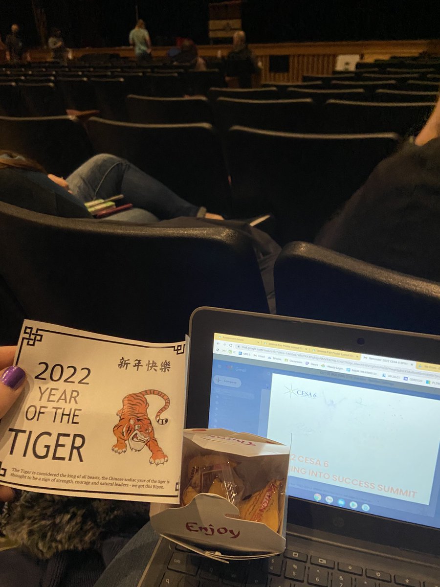 MrsSimacek's tweet image. Thanks RASD! Year of the Tiger #riponwiproud #springcesa6