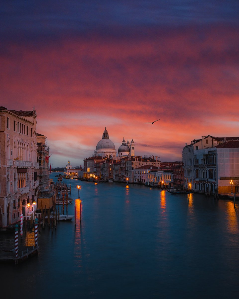 rebeccapaviola's tweet image. Can I get a big GM please? 📸 #NFTCommunity