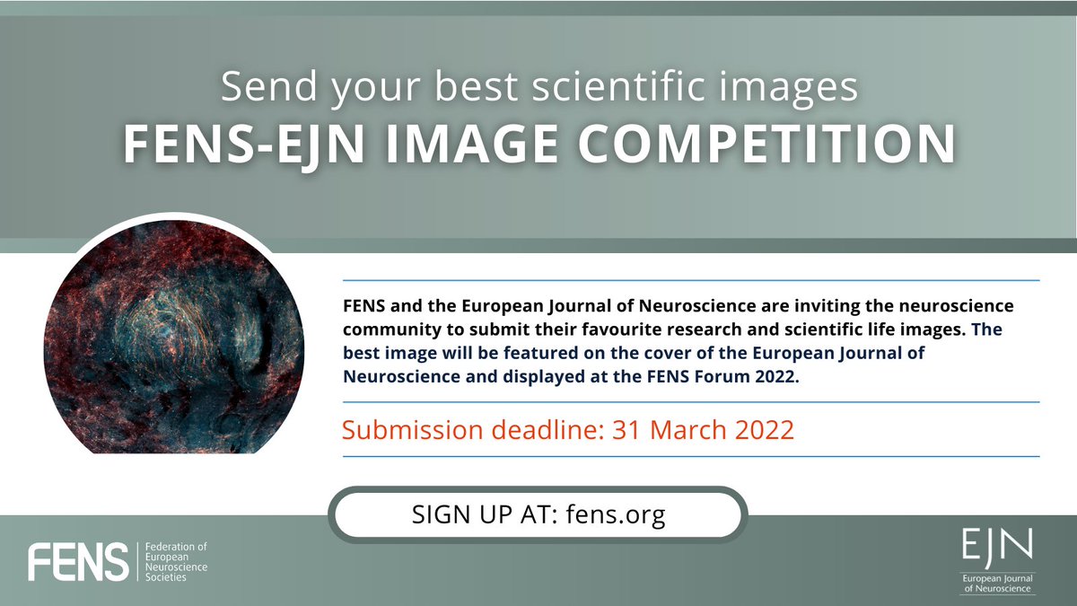 FENSorg's tweet photo. One month left to submit your #scientificimage and participate in the #FENS @EJNeuroscience Image Competition! Submit your best pic and win the opportunity to be: the cover of EJN and featured on the #FENS website and the FENS Forum 2022.
Interested? https://t.co/8OSQD1wfKW https://t.co/9dUx9IjF9X