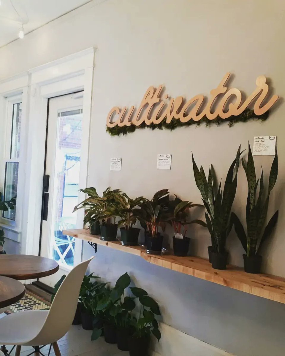 AutumnSaysHey's tweet photo. Enjoying fool's spring thanks to Cultivator Coffee &amp; Other Plants
🌿☕🌿
.
.
.
#localbusiness #coffeeshop #aesthetic #plants #indiana #soin #whereintheworldisautumnelaine https://t.co/XvAaJYSbUA