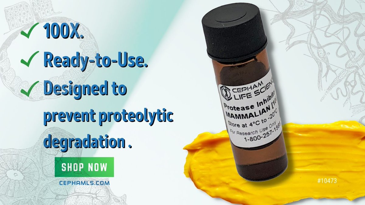 CephamLS's tweet image. Our Mammalian Protease Inhibitor Cocktail, [100X] is specifically designed to restrict activities of mammalian #proteases and to prevent proteolytic degradation during #proteinextraction. At 100X concentration, it&apos;s easy to use in low volume samples. bit.ly/3sKckIf