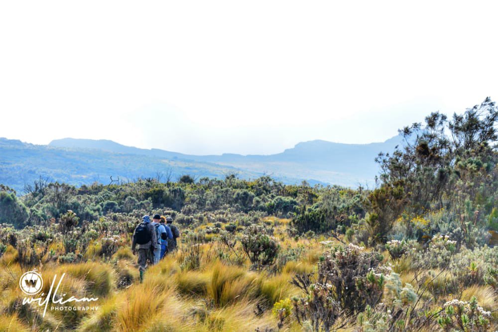 bentique3's tweet photo. You simply can’t love this country enough. My brother @DiscoverSipi shared some stunning shots of Mount Elgon National Park 🏞 and I must say they are jaw dropping indeed. 
#AroundUgOnTwitter 
📍 Mount Elgon https://t.co/S5FOFivFyg