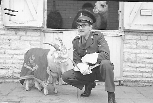 The Royal Welsh Museum tweet media