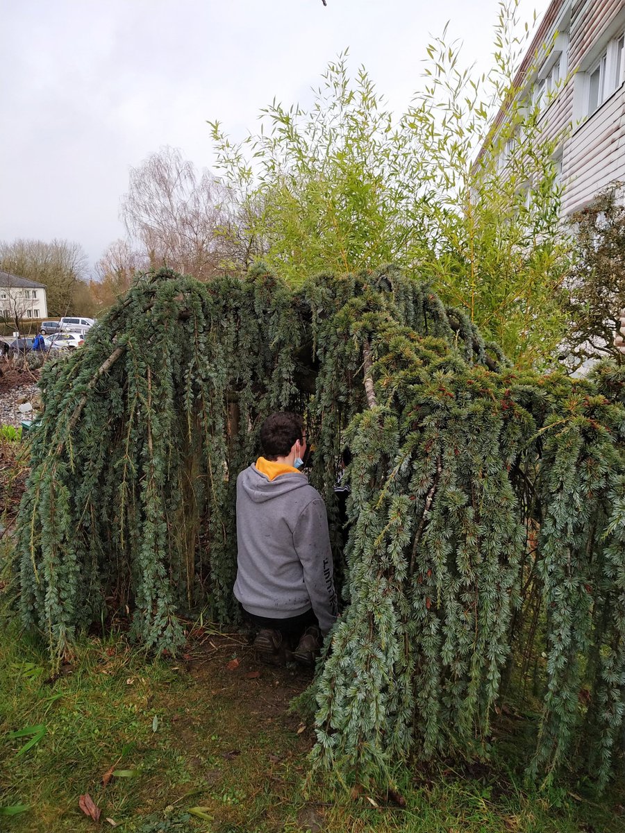 LeCHEP78's tweet photo. 🌿Découverte du métier jardinier-paysagiste par nos classes de 4ème et 3ème.
➡Pour découvrir l'article : https://t.co/Zy5vMkRcLD
#chep78 #environnement #amenagementpaysager #ecoledusavoirvert #gmnf #horticulture #forêt #jardinierpaysagiste https://t.co/z9Q0VryzlD