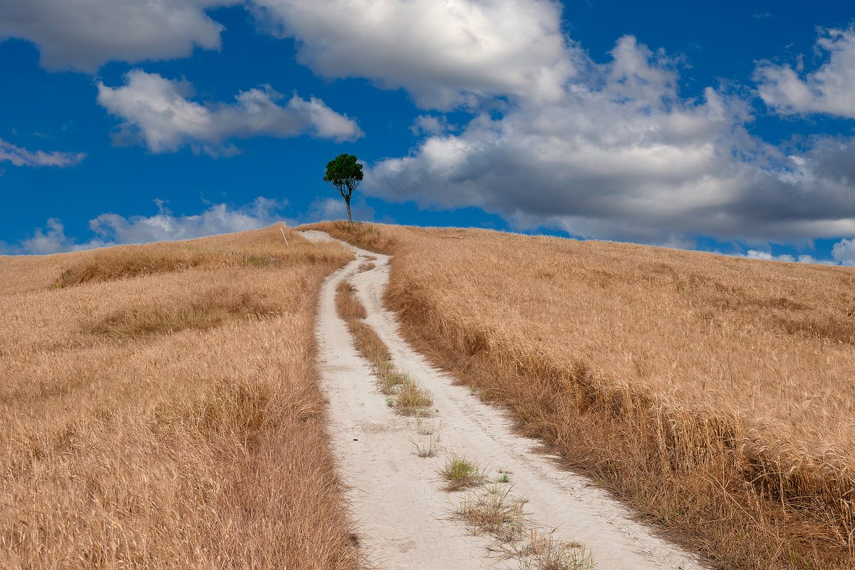 JureYurko's tweet photo. Tuscany https://t.co/9fzDZD8Bst