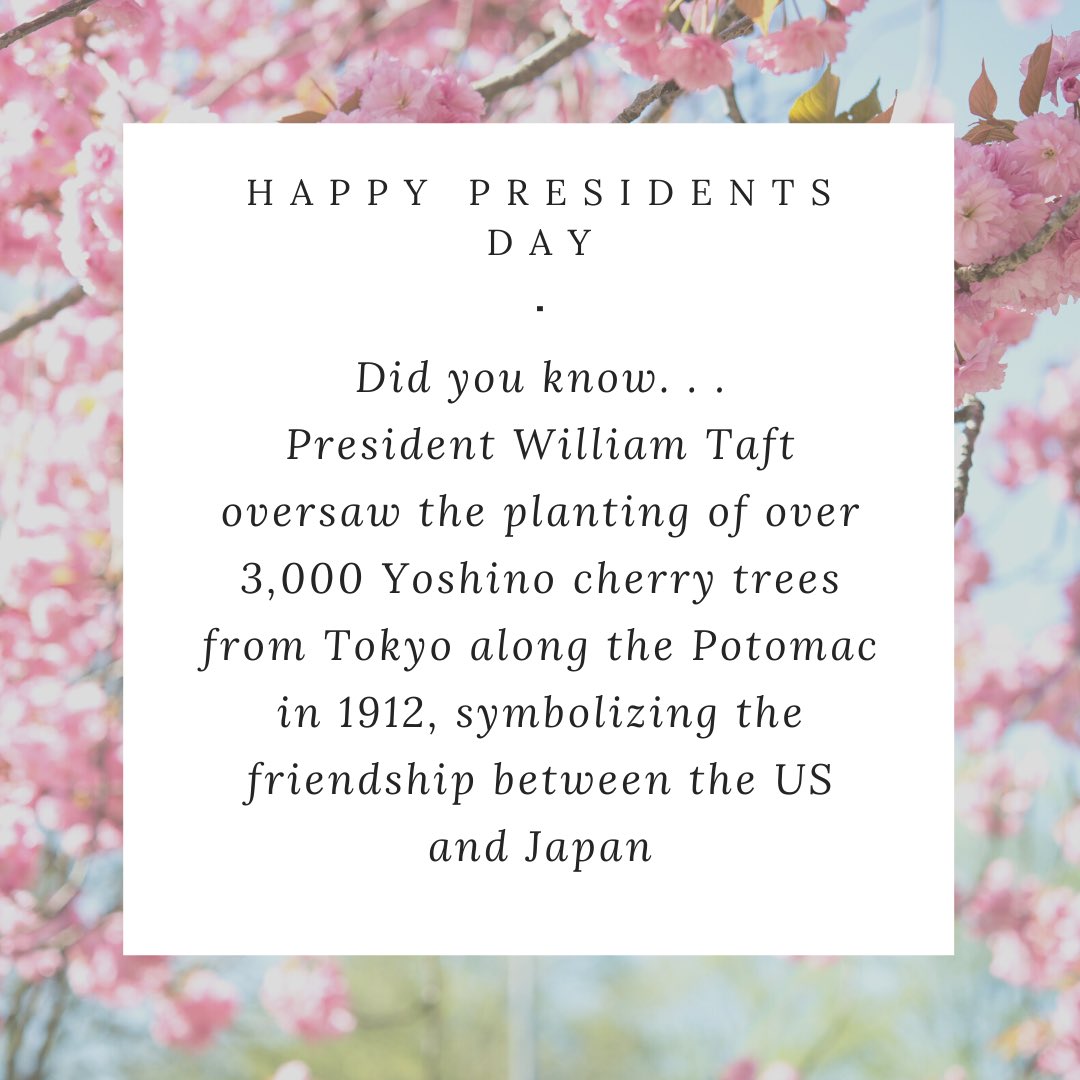 RefDeskOwl's tweet photo. After the famed cherry trees in Adachi Ward, where the D.C. cherry trees had originated, were destroyed in WWII, the US sent Japan saplings to help rebuild the grove. https://t.co/EG9yYdITbi