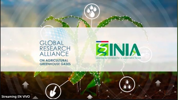 meryundurraga's tweet photo. Chile🇨🇱recibió la Presidencia de la Alianza mundial de investigación sobre gases de efecto invernadero en la agricultura @GRA_GHG de parte de Australia🇦🇺

El trabajo colaborativo es vital para adaptarnos al cambio climático para que la agricultura sea más sustentable y resiliente https://t.co/uLEw4gMvRQ