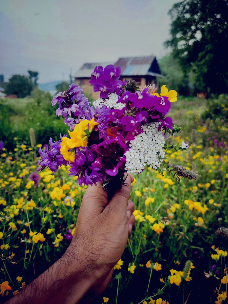 💐💐💐💐💐 

Prints/ Calendar 2022 Available DM