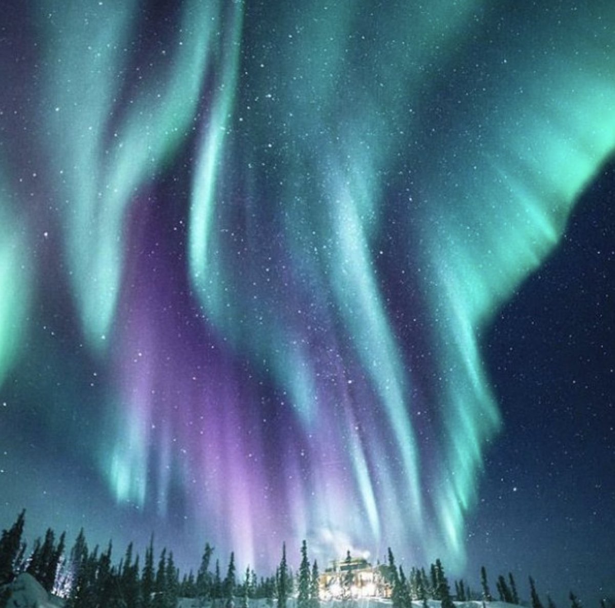 世界の絶景 tweet media