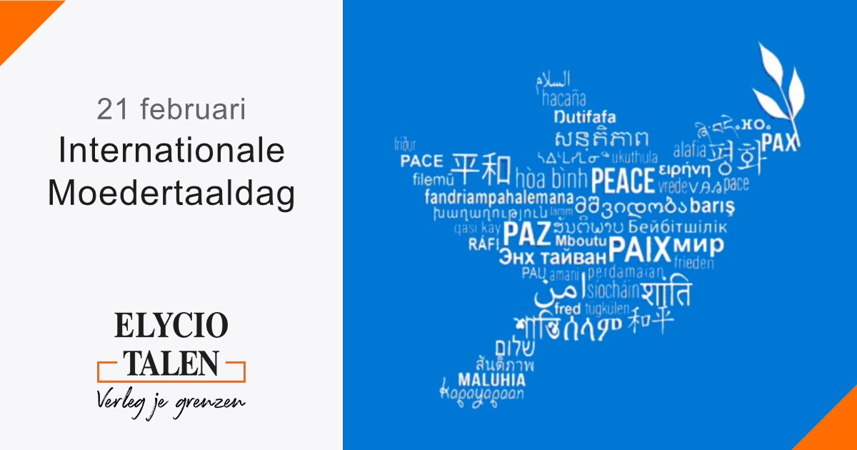 ElycioTalen's tweet photo. 💡 Op 21 februari viert de UNESCO taalkundige en culturele diversiteit, en meertaligheid tijdens de Internationale Moedertaaldag. Wist je trouwens dat alle taaltrainers van Elycio Talen moedertaalsprekers zijn?

#taalweetje #moedertaaldag #elyciotalen #taaltraining https://t.co/2EUquWonxN