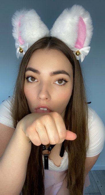 Can I be your little kitty?  #catgirl #catgirls #petplay #egirl #Egirls https://t.co/w7iDJMadnk<a href="/tag/catgirl"class="tags">#catgirl</a><a href="/tag/catgirls"class="tags">#catgirls</a><a href="/tag/petplay"class="tags"><span>#petplay</span></a><a href="/tag/egirls"class="tags"><span>#egirls</span></a><a href="/tag/egirl"class="tags"><span>#egirl</span></a>