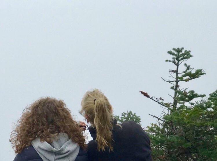 Kate ⚡️ tweet media