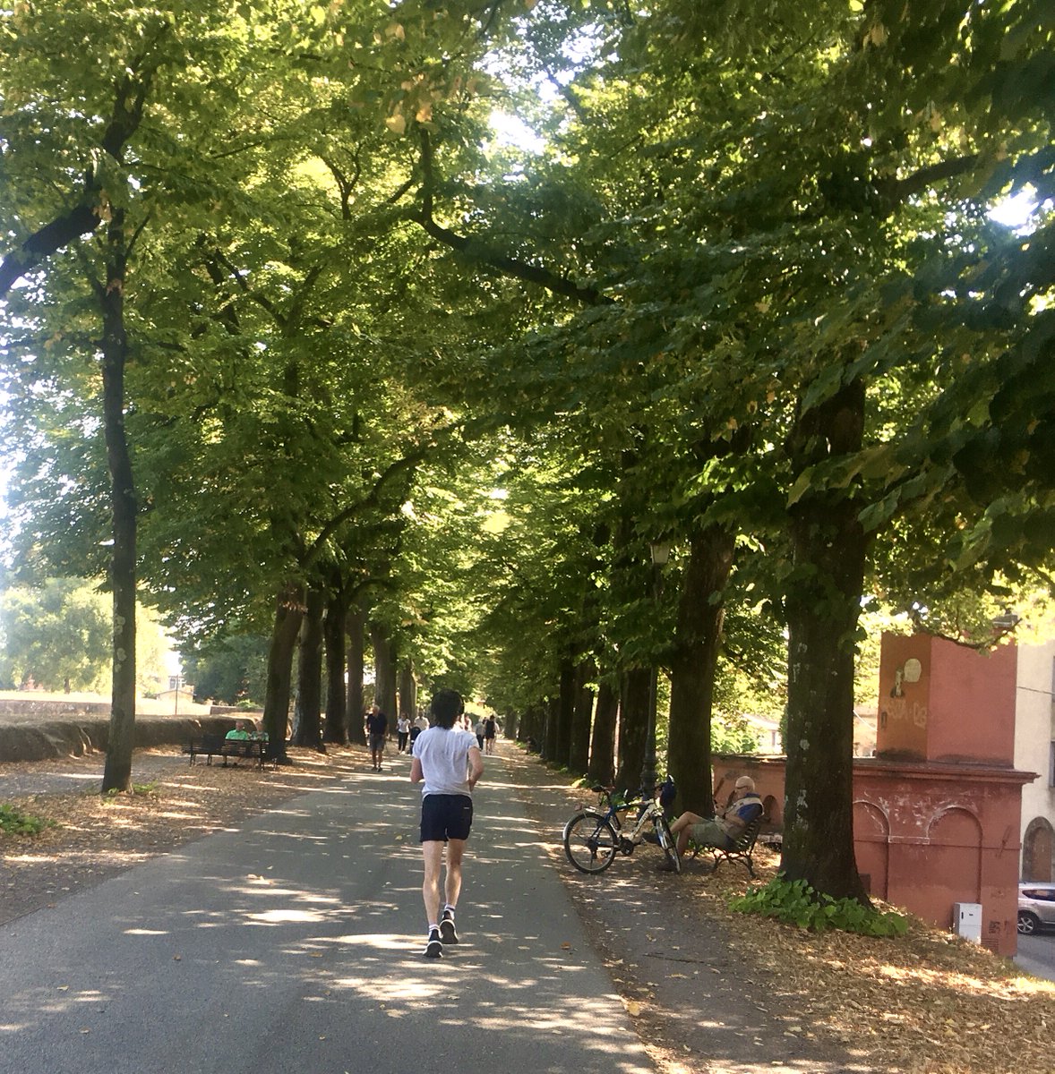 RunOurWorld's tweet photo. #Italy's #Lucca is a great tuscan town, and has a wonderful #running route on top of its intact ramparts. Follow this great route for a memorable #run: https://t.co/EGPcd6LRYh #fitness #travel https://t.co/ogxKQrOPha