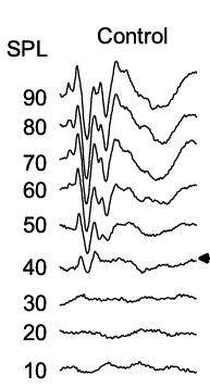 Biological Sciences tweet media