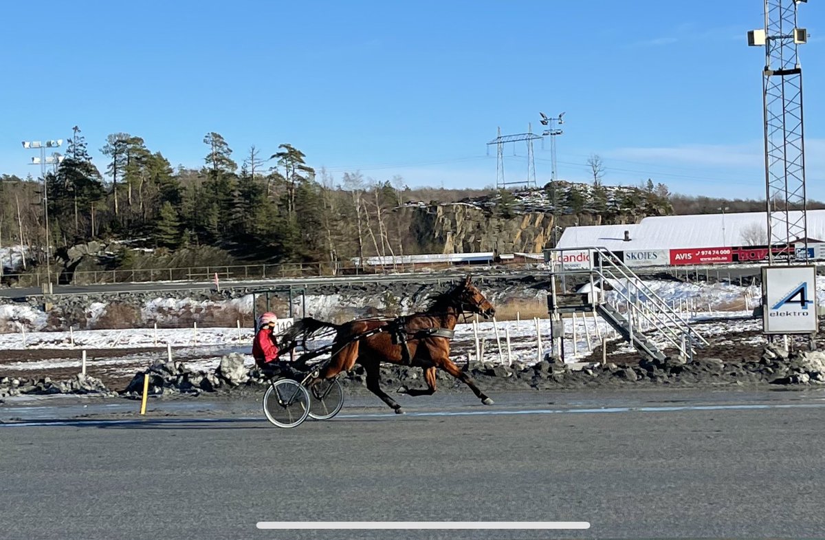 Trav_sangeren's tweet photo. Goldstile ute å lufter seg i sola 🐴☀️🇳🇴 https://t.co/NuRgqDG6Ou