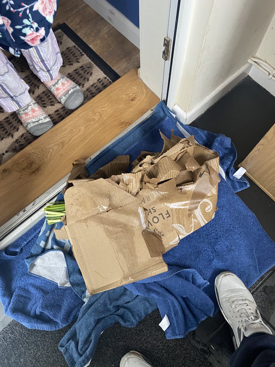 mark_hawkins_'s tweet photo. @DPDgroup_news parcel delivery at it best🤦🏻‍♂️ left outside without knocking or ringing the bell.But apparently was left in my porch. Well my ring camera shows me different. Several hours later we seen them 😡 https://t.co/hUoFXM15LC