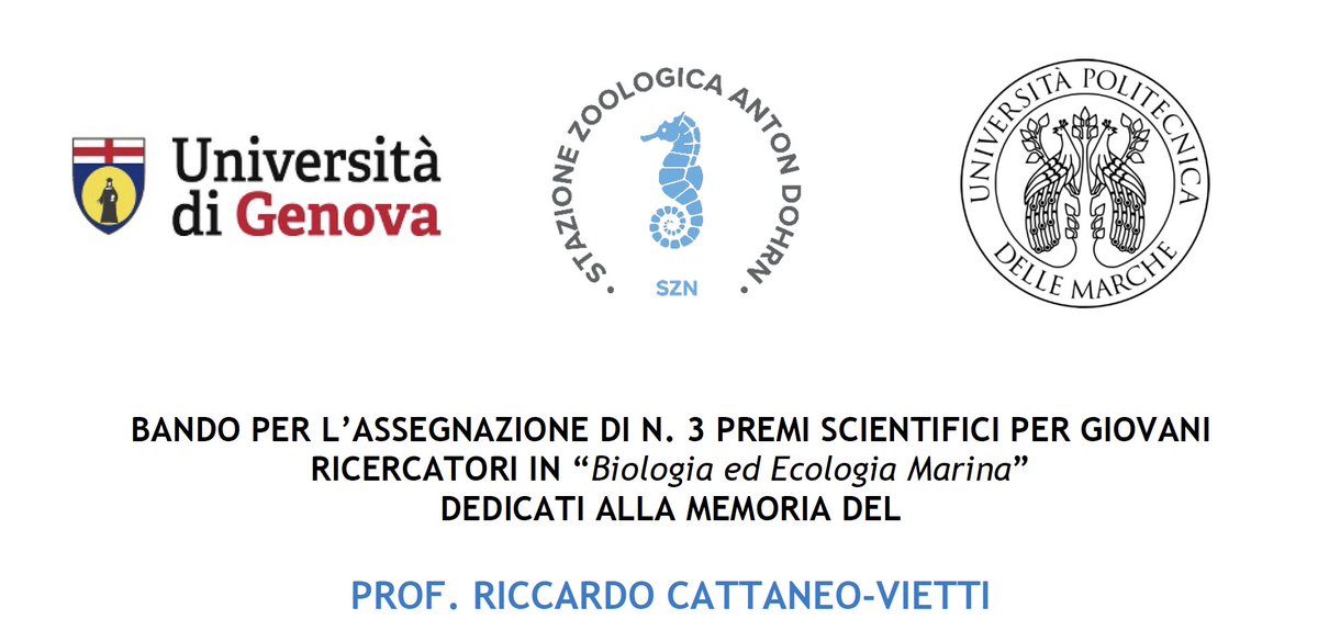 ReefCheckItalia's tweet photo. Segnaliamo:
BANDO PER L’ASSEGNAZIONE DI N. 3 PREMI SCIENTIFICI PER GIOVANI RICERCATORI IN “Biologia ed Ecologia Marina” DEDICATI ALLA MEMORIA DEL
PROF. RICCARDO CATTANEO-VIETTI
https://t.co/ggs3q98oOG https://t.co/kvkFkRFC5J