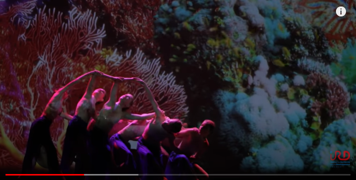 ipbeses's tweet photo. Cuando el arte y la ciencia se unen por la biodiversidad 🌿

Bailando por la #biodiversidad en el #IPBES7 en 2019 con @ird_fr, Les Arts en Scène.

✍️ ¡Reserve la fecha para el #IPBES9, del 3 al 9 de julio de 2022 en Bonn! 

https://t.co/agZEZYBL19 https://t.co/2FpShqFfJL