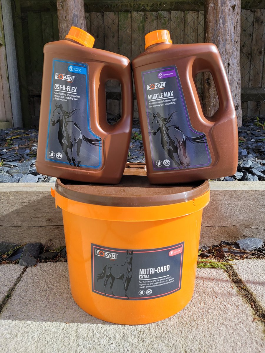 Gem Gilbert tweet media