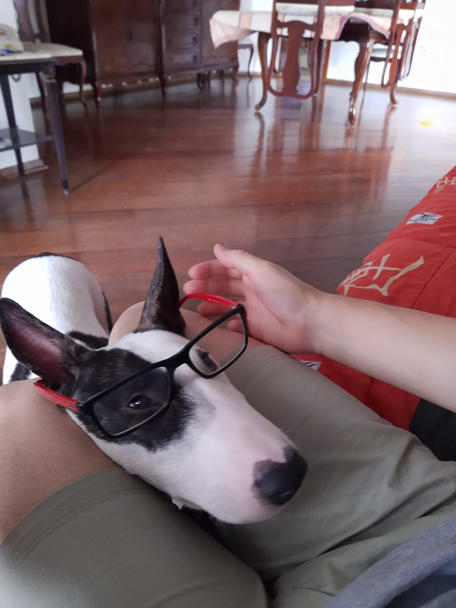 ToboeWolf_Br's tweet photo. Berry estudioso https://t.co/TP40x3uMDg