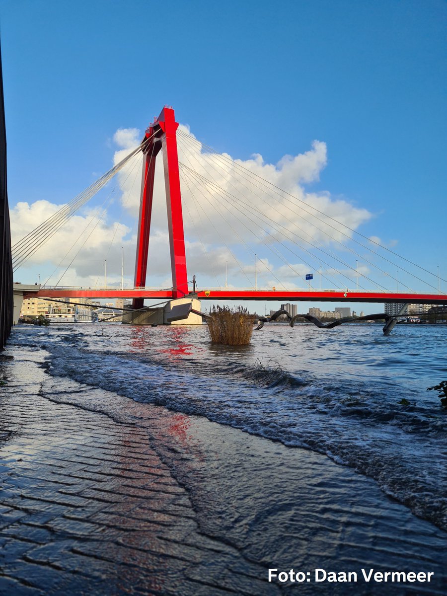 Stadsbeheer010's tweet photo. Vanavond om 18.40 uur verwachten we #Hoogwater (+2.60m NAP) in @Rotterdam. #Parkeer je auto niet langs de kade!
Op de kades op #Noordereiland, #Bolwerk en #Plantagelaan worden waarschuwingsborden geplaatst. Wat kun je zelf doen? https://t.co/JT7sjm5wh5 https://t.co/SquFc4TtYR