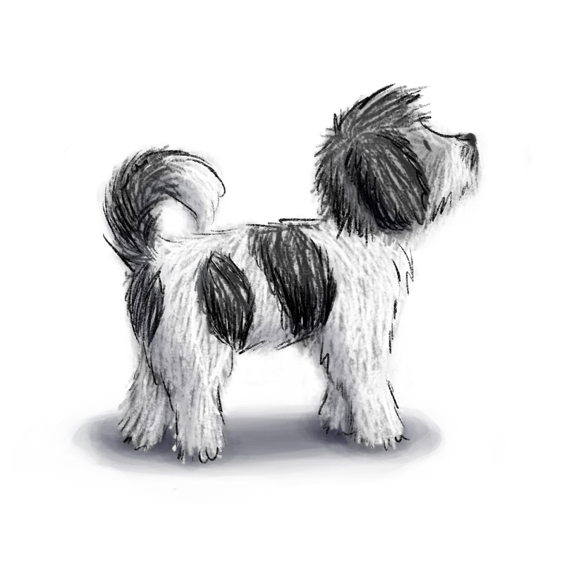 CayCreates's tweet image. My morning muse: This is miss Oreo, our Schnoodle Puppy. She was looking extra cute this morning and needed drawing. 

#childrensbookart #twitterart #schnoodle #cuteanimals #cutepuppy #illustrator #oreo #procreate #procreateart #digitalart #kidlitart #do

cayleencreates.com/2022/02/21/sch…