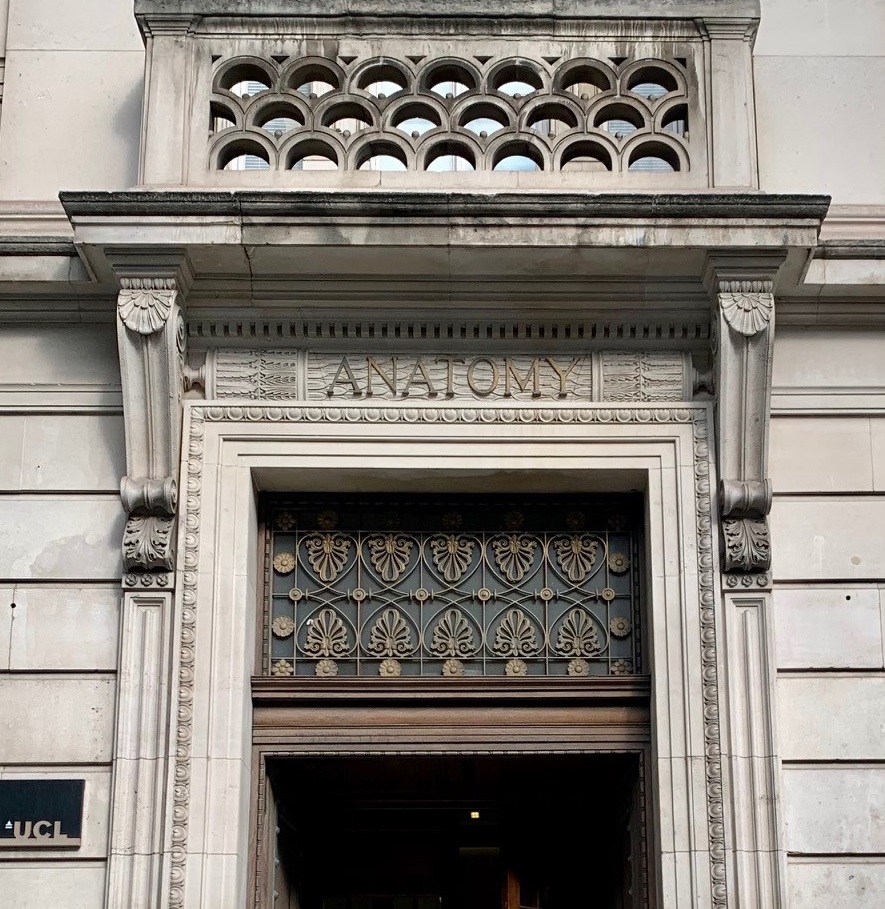 Come and work for us! We're looking for three Research Fellows to join the Department of Genetics, Evolution and Environment. The deadline is 14th March. Find out more and apply here: bit.ly/3s4iALv  @MaxReuterEvo <a href="/AidaAndres/">Aida Andrés</a> <a href="/uclbiosciences/">UCL Biosciences</a>